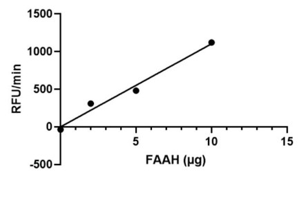 Activity Data (FAAH-057H).jpg
